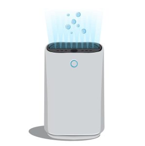 Ionizer